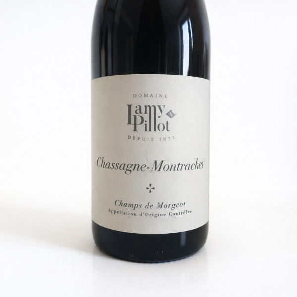 Chassagne-Montrachet Champs de Morgeot 2023 Rouge – Domaine Lamy-Pillot | Pinot Noir Bourgogne