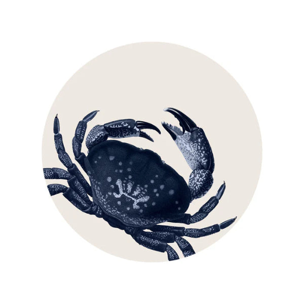 Set de table en vinyl Aragosta 2 coloris - Pôdevache