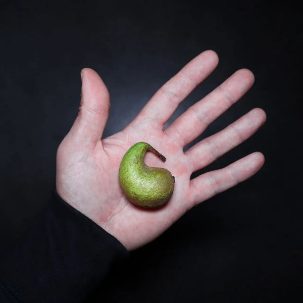 Sauce Piquante "Pears for Tears" 200g - Swet