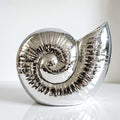 Vase Coquillage Argent – Une touche bord de mer moderne dans votre déco