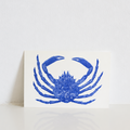 Carte Postale Araignée de Mer – Illustration Marine par Marie-Laure Audouard | Atelier 2 Bis