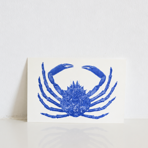 Carte Postale Araignée de Mer – Illustration Marine par Marie-Laure Audouard | Atelier 2 Bis