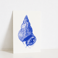 Carte Postale Bulot – Illustration Marine par Marie-Laure Audouard | Atelier 2 Bis