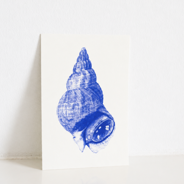 Carte Postale Bulot – Illustration Marine par Marie-Laure Audouard | Atelier 2 Bis