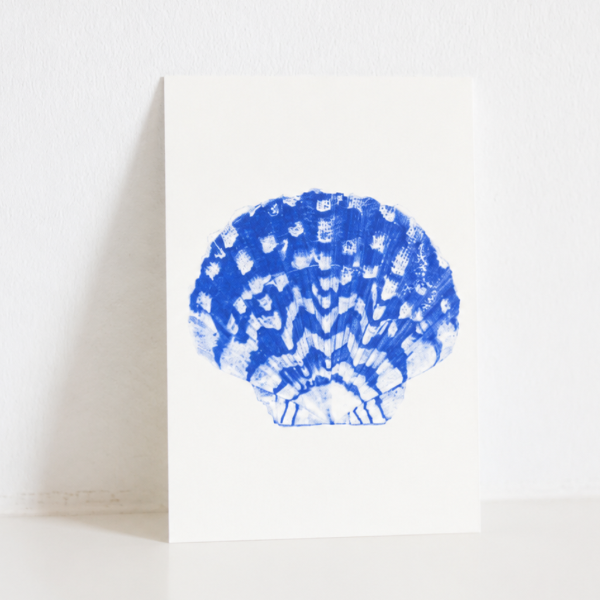 Carte Postale Coquille Saint-Jacques – Illustration Marine par Marie-Laure Audouard | Atelier 2 Bis