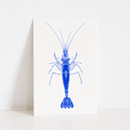 Carte Postale Crevette – Illustration Marine par Marie-Laure Audouard | Atelier 2 Bis