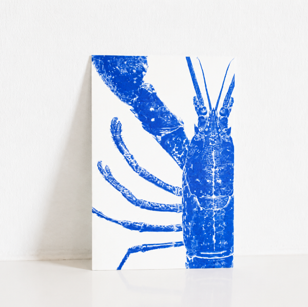 Carte Postale Pince de Homard Bleu – Illustration Marine par Marie-Laure Audouard | Atelier 2 Bis
