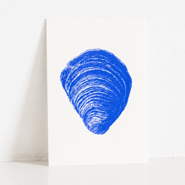 Carte Postale Huître Plate – Illustration Marine par Marie-Laure Audouard | Atelier 2 Bis