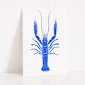 Carte Postale Langoustine – Illustration Marine par Marie-Laure Audouard | Atelier 2 Bis