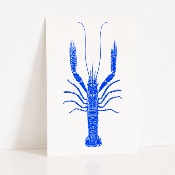 Carte Postale Langoustine – Illustration Marine par Marie-Laure Audouard | Atelier 2 Bis