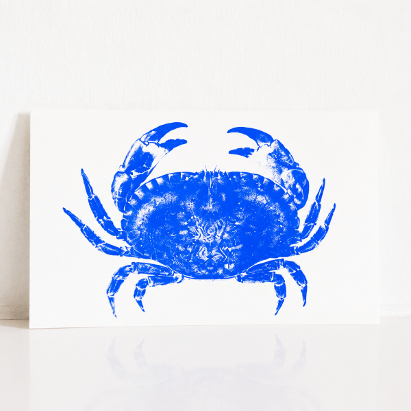 🦀 Carte Postale Tourteau Bleu – Illustration Marine par Marie-Laure Audouard | Atelier 2 Bis