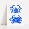 Carte Postale Tourteau & Araignée de Mer – Illustration Marine par Marie-Laure Audouard | Atelier 2 Bis
