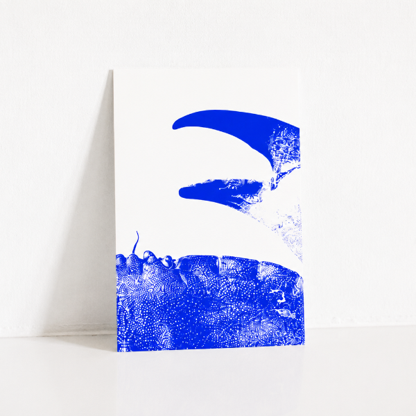 Carte Postale Pince de Tourteau – Illustration Marine par Marie-Laure Audouard | Atelier 2 Bis